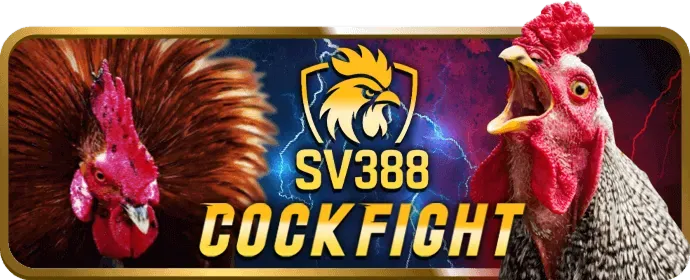 Hướng dẫn cá cược thể thao tf88viet