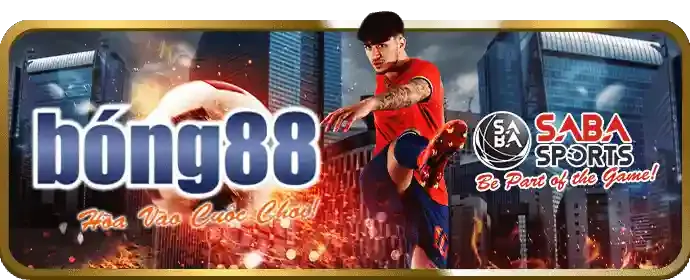 An ninh và Bảo mật TF88VIET
